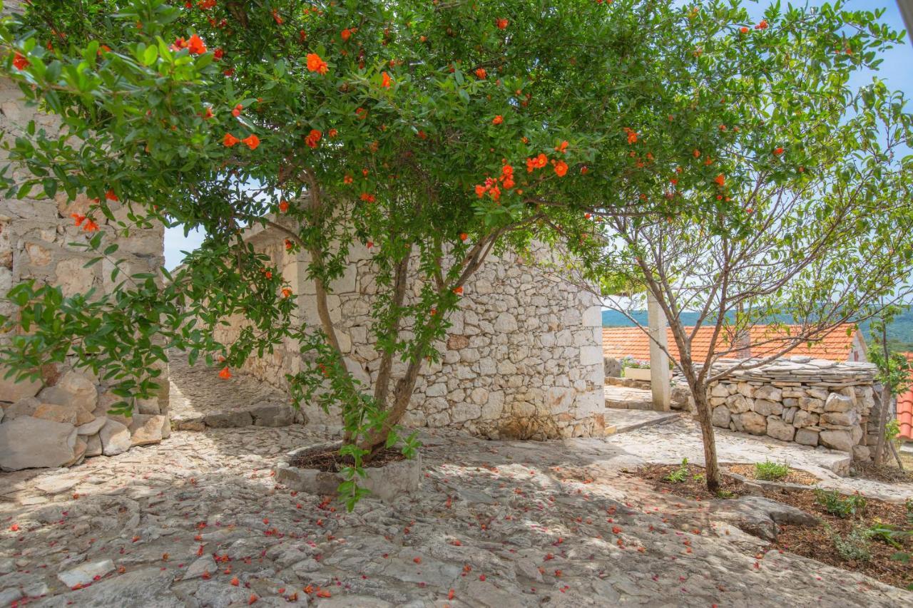 Villa Dalmatian Stone House Rogoznica  Esterno foto